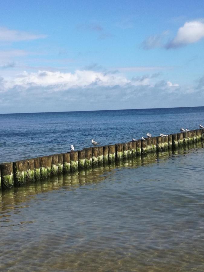 Ferienbungalow Ancora In Koserow Bagian luar foto